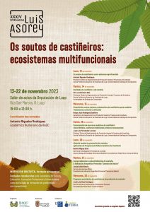 cartaz castiñeiro
