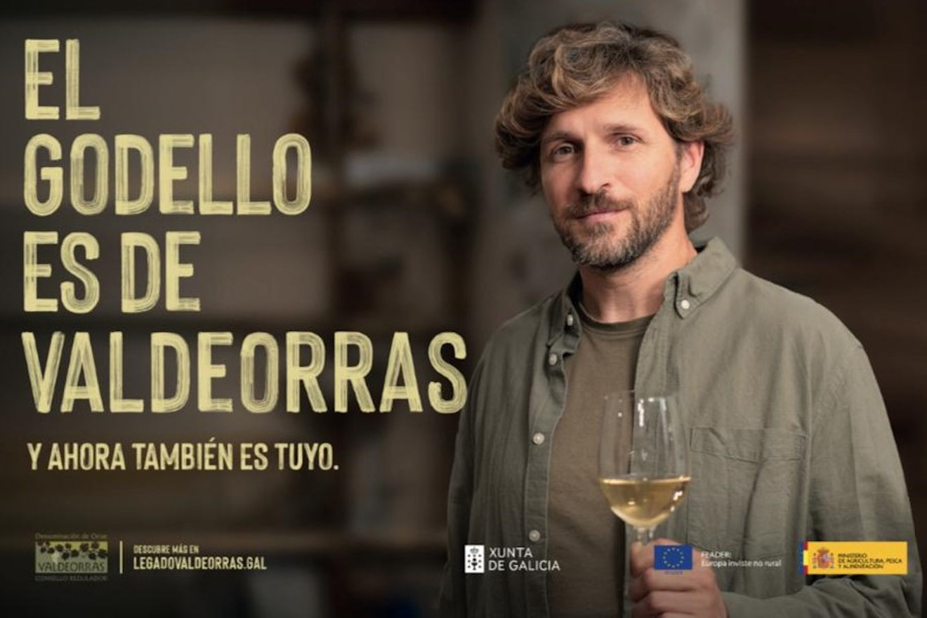 godello valdeorras 23 Campaña 1