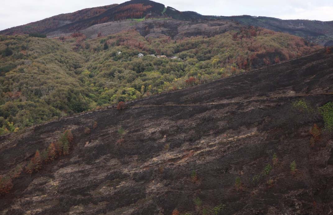 Incendio na Serra do Courel onde se salvaron as frondosas. Foto: Froilán Sevilla