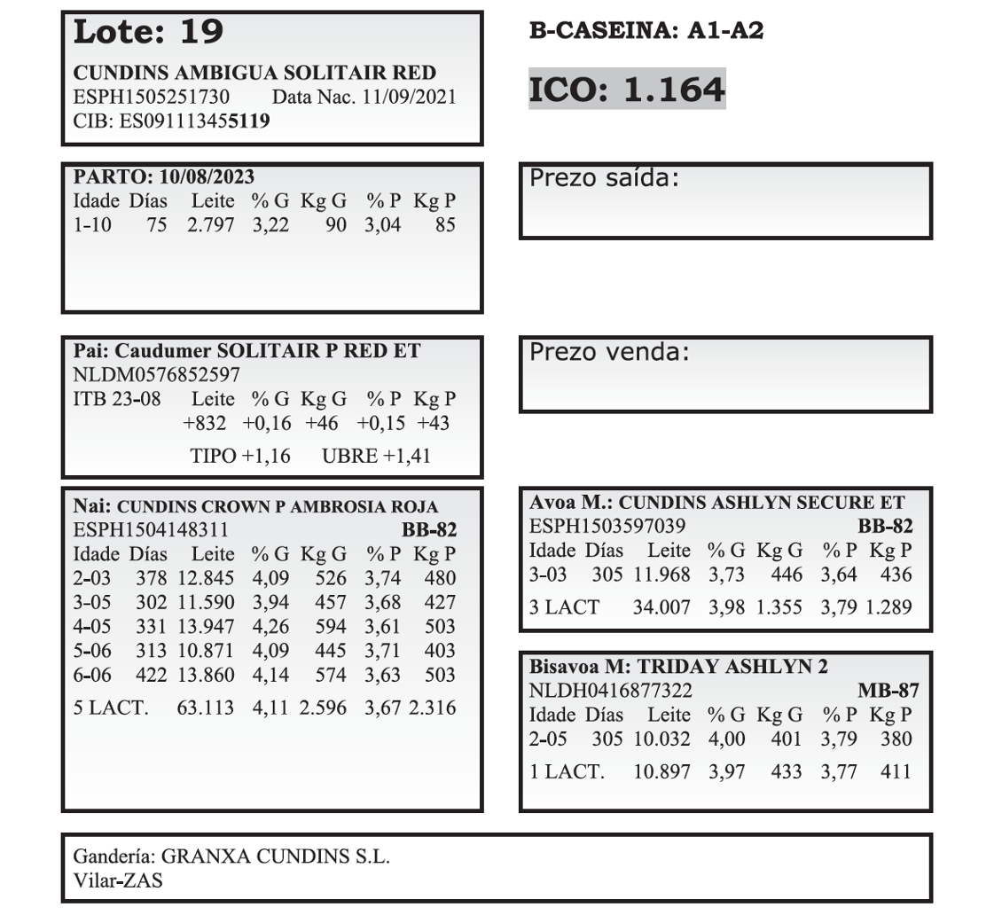 mazaricos poxa 23 participantes 19