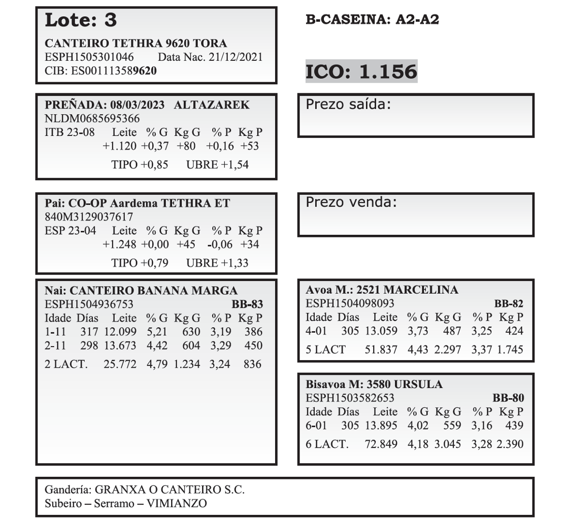 mazaricos poxa 23 participantes 3
