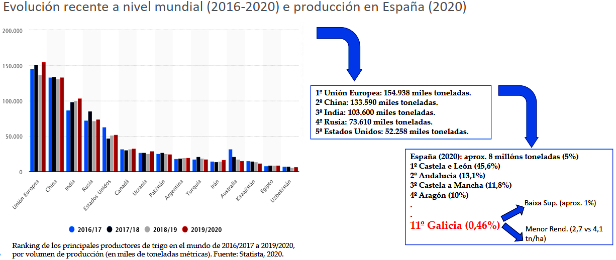 producion de trigo no mundo
