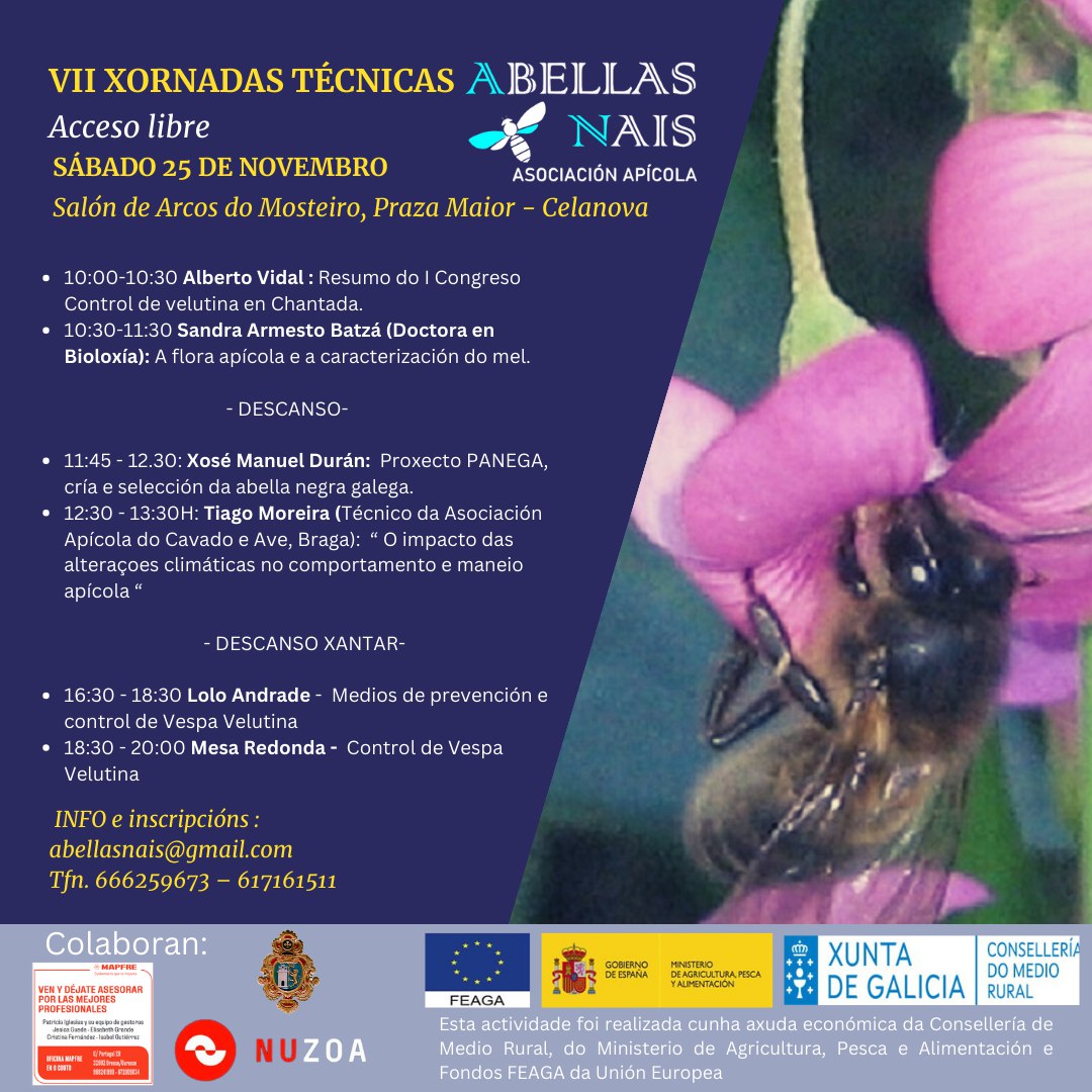 xornada abellas nais