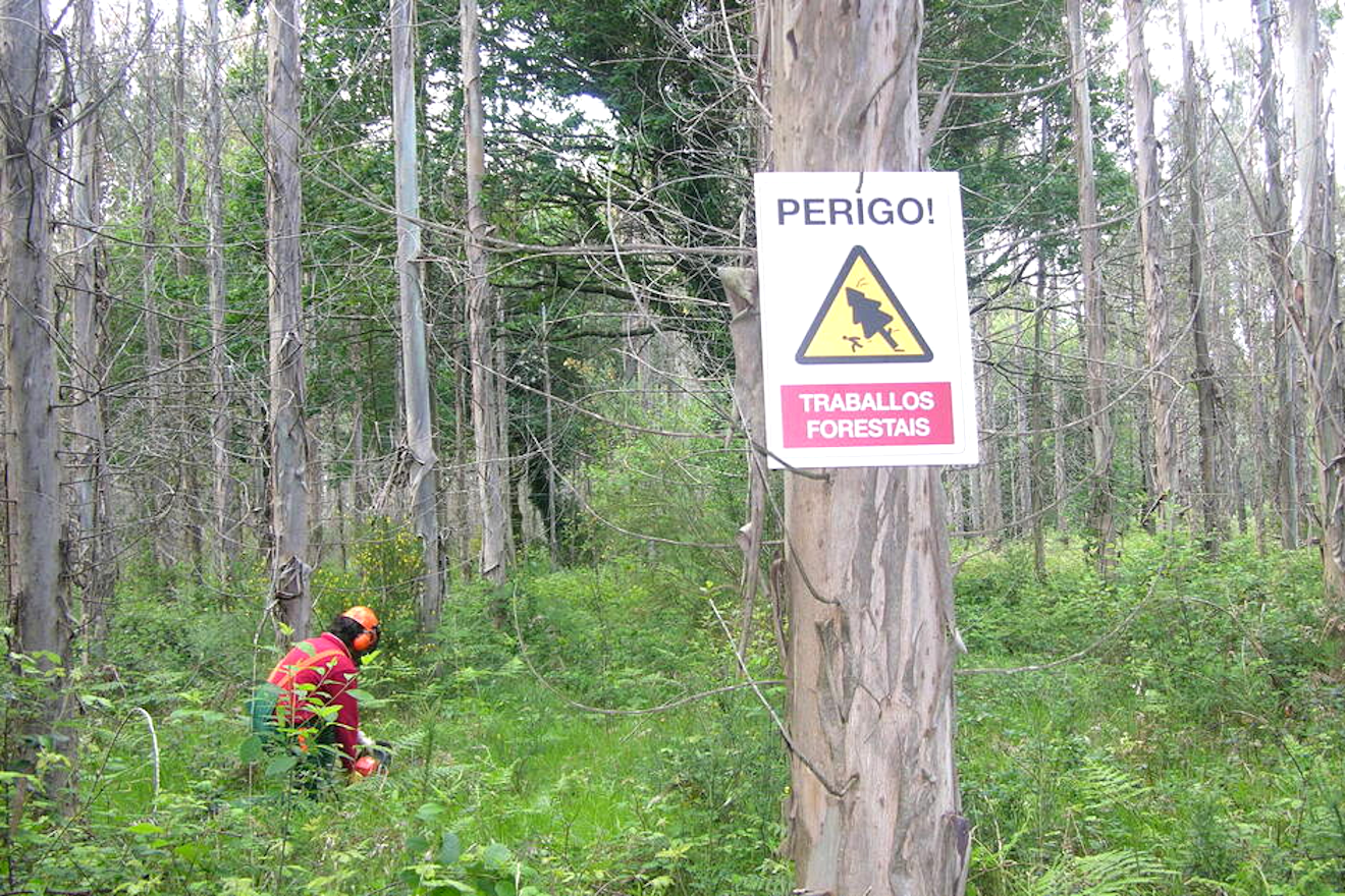 ISSGA LUGOMADERA RISCOS FORESTAIS CARTAZ 1