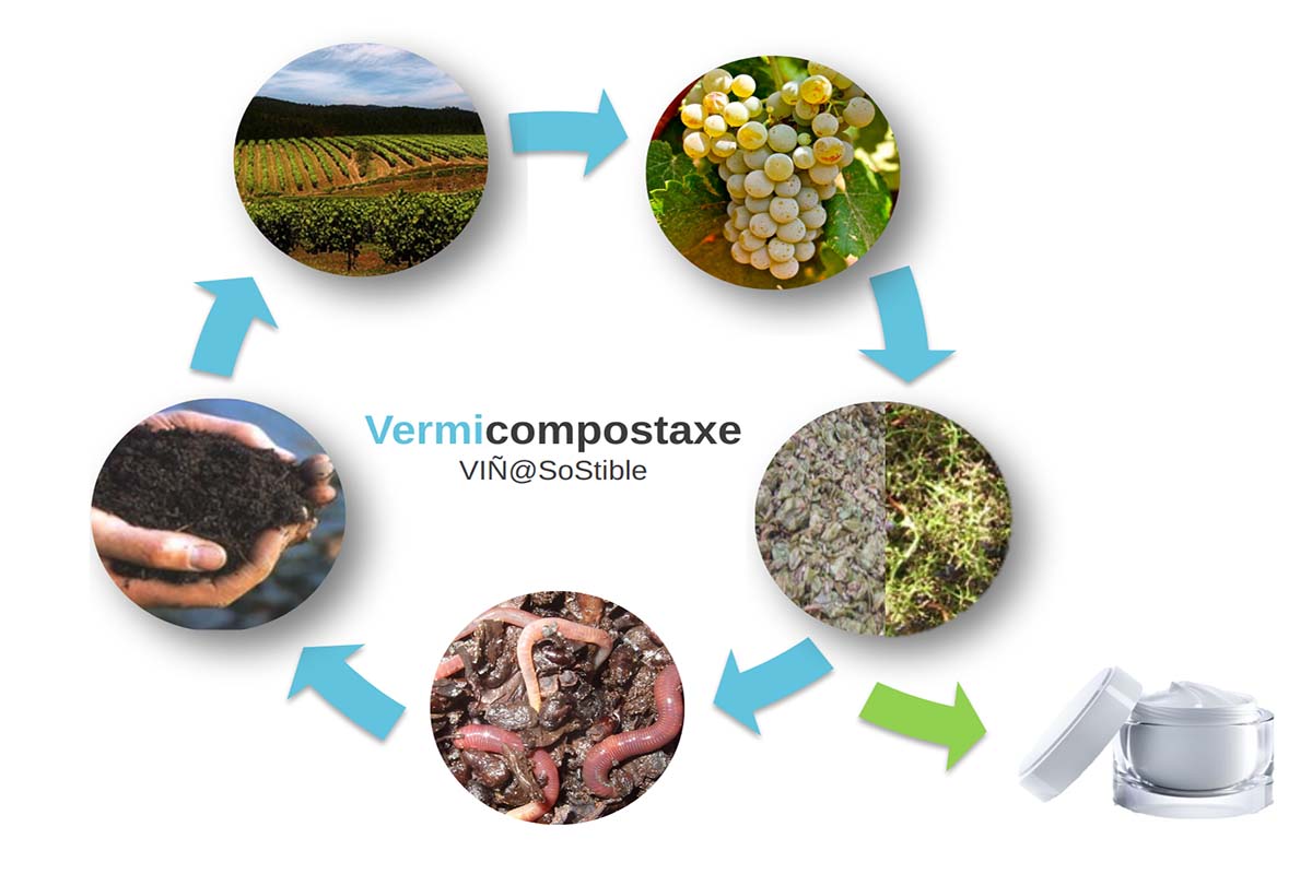 Ciclo da vermicompostaxe. Imaxe de Daniel Durán