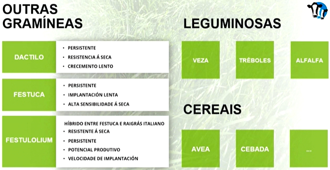 outras gramineas e leguminosas