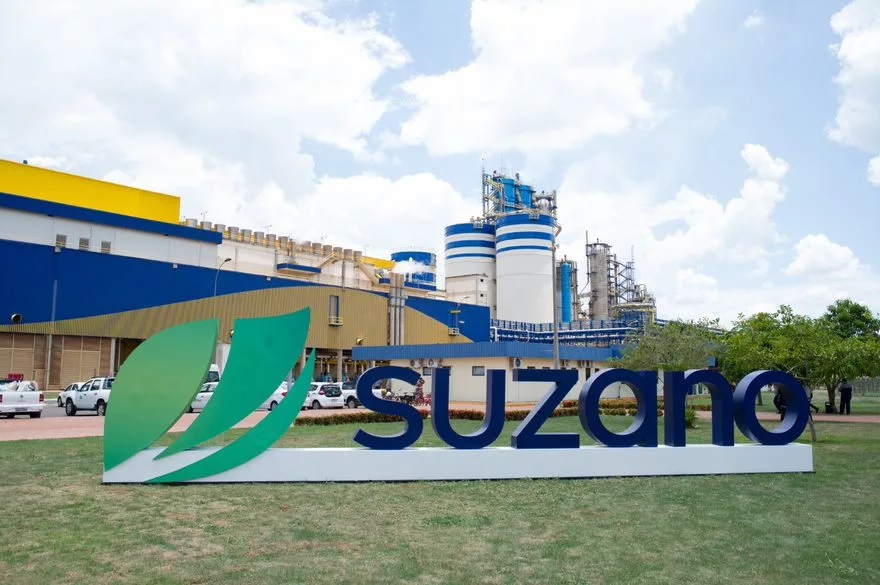 A compañía brasileira Suzano é o principal produtor mundial de pulpa de eucalipto kraft blanqueada (BEK) e o seu principal cliente é China