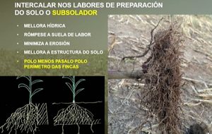 subsolador fincas de millo
