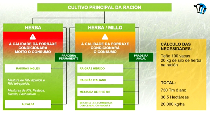 tipos de ración eleccion de variedades de herba