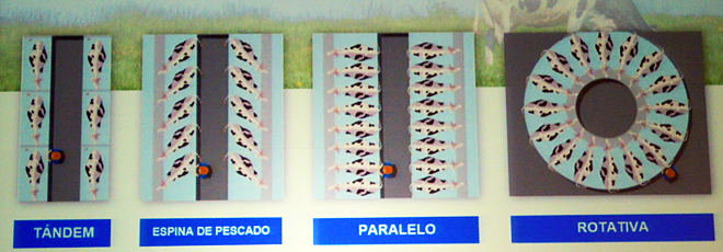 xornadas Seragro 2023 tipos de sala de muxido