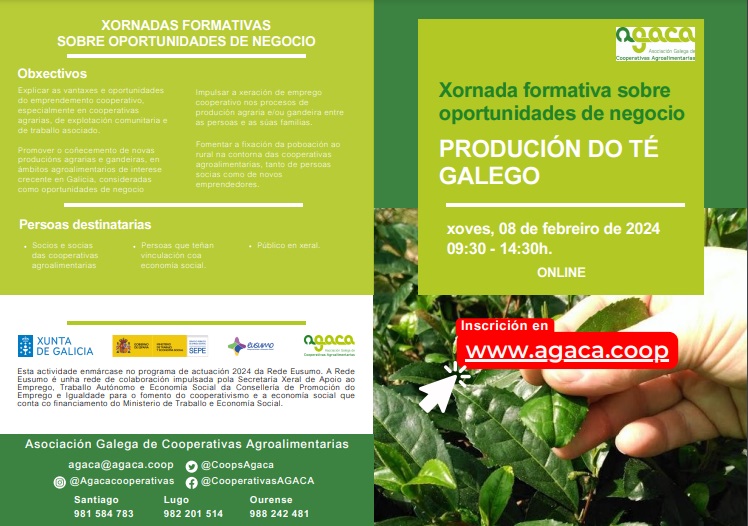 AGACA TÉ