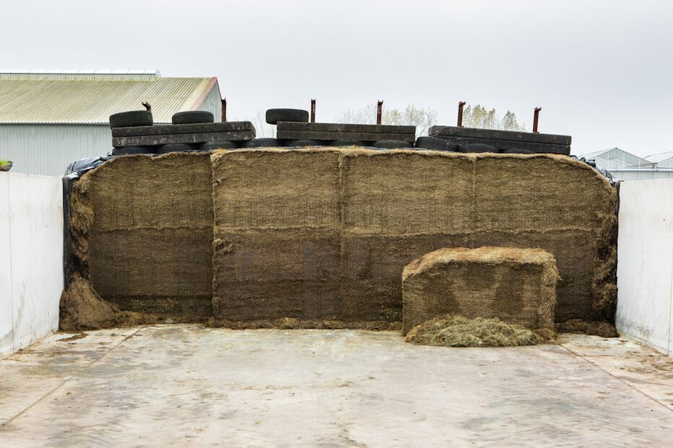 DE HEUS BOLAS SILO HERBA 2