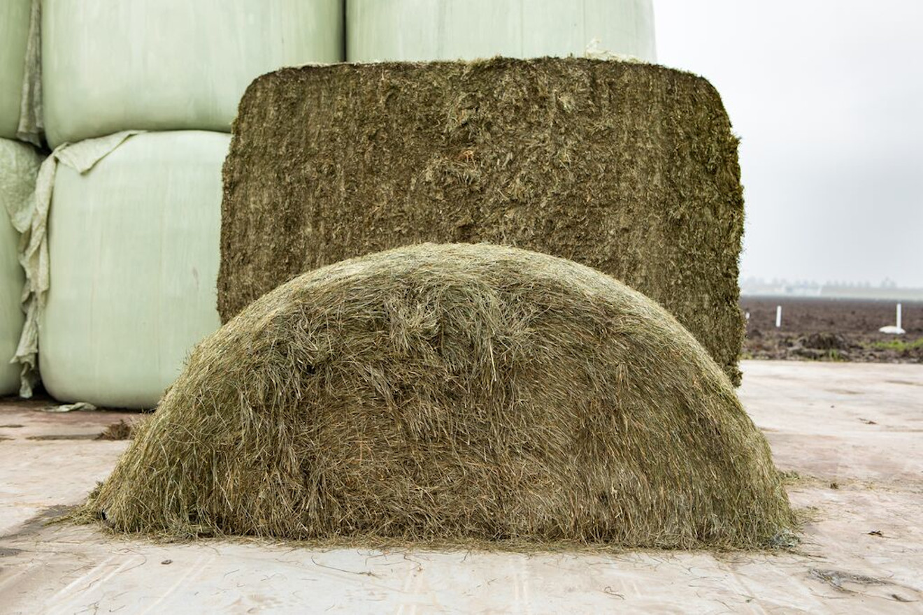 DE HEUS BOLAS SILO HERBA 3