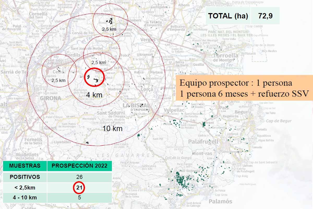 Prospección do vector en 2022, cando se detectaron 26 positivos. Foto do SSV de Xirona