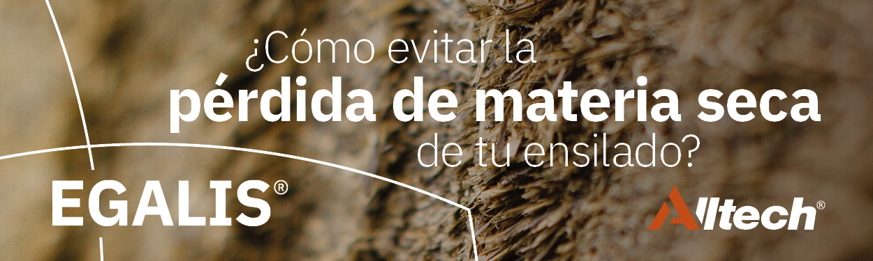 banner alltech 2024 egalis