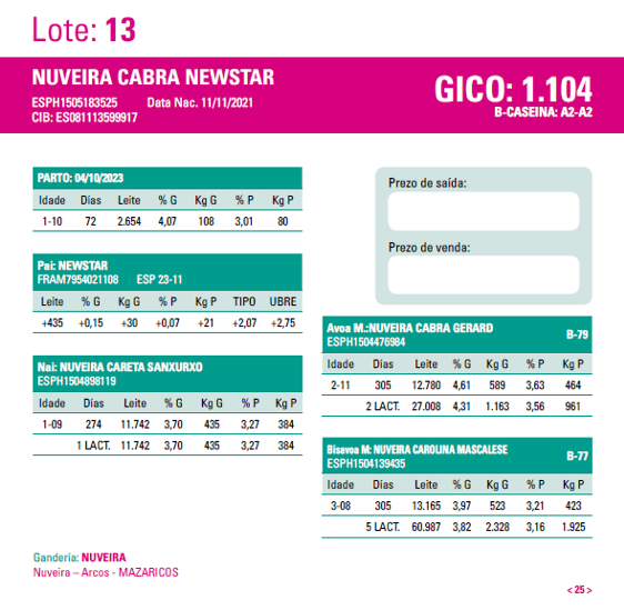 poxa santa comba 24 13