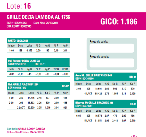 poxa santa comba 24 16