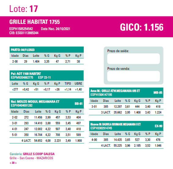 poxa santa comba 24 17