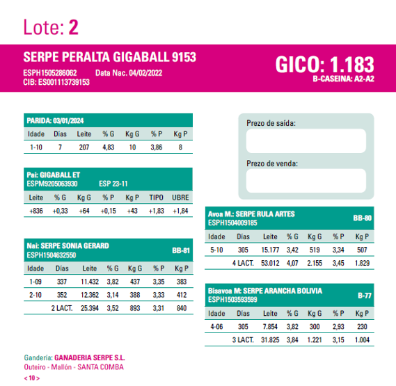 poxa santa comba 24 2