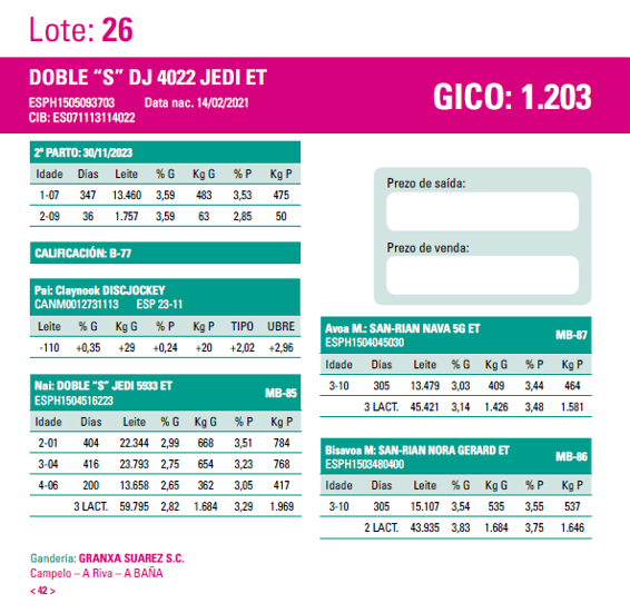 poxa santa comba 24 26