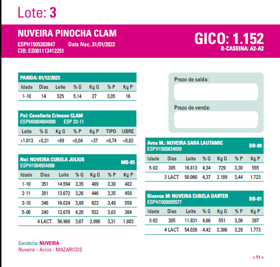 poxa santa comba 24 3