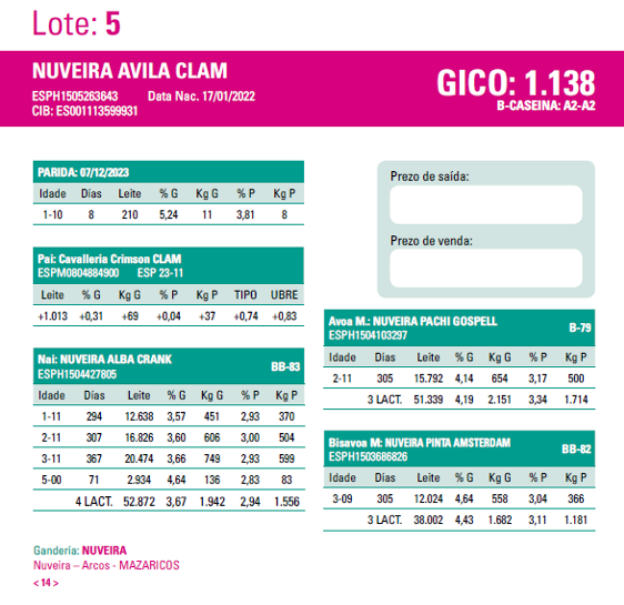poxa santa comba 24 5
