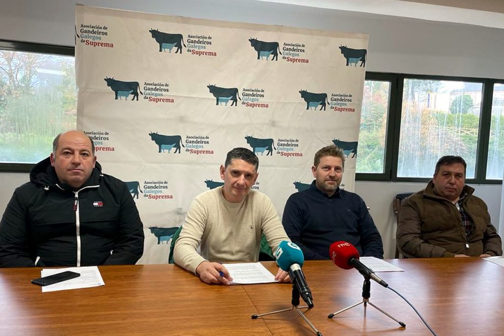 Rolda de prensa de Gandeiros Galegos da Suprema este xoves en Lugo para valorar as axudas da Xunta ao sector