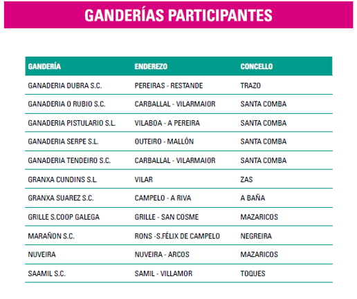 santa comba poxa 24 participantes