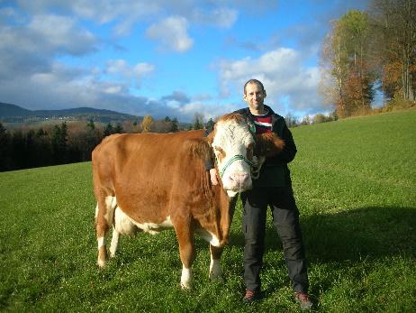 GENETIC AUSTRIA FLECKVIEH PIA