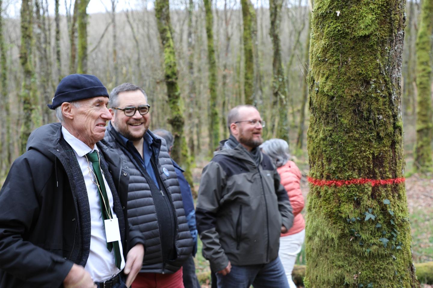 Visita dos expertos internacionais ao Marteloscopio de Labio, en Lugo