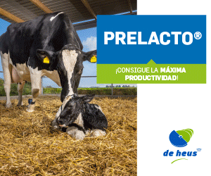de heus prelacto 24 1