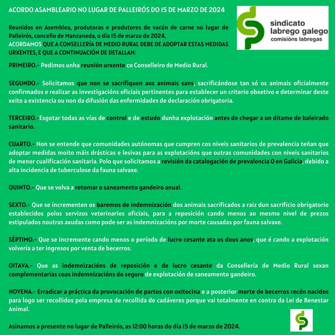 AcordoAsamblearioPalleirós_Manzaneda15M24