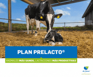 DE HEUS MARZO 24 PRELACTO 300X250