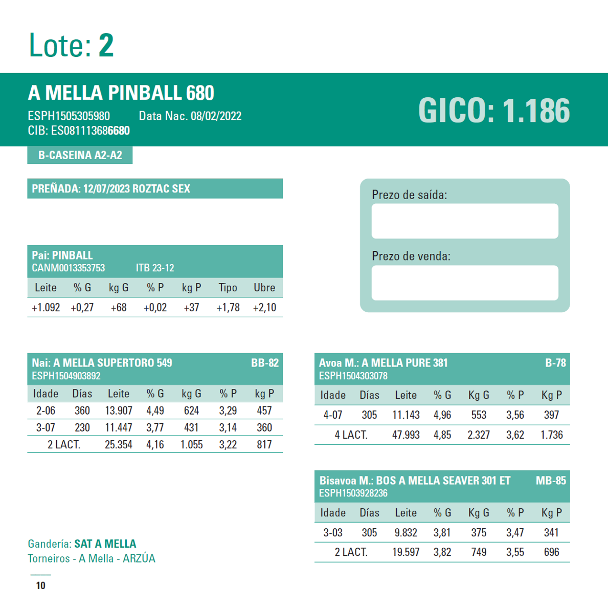 MAGRECO POXA 24 2
