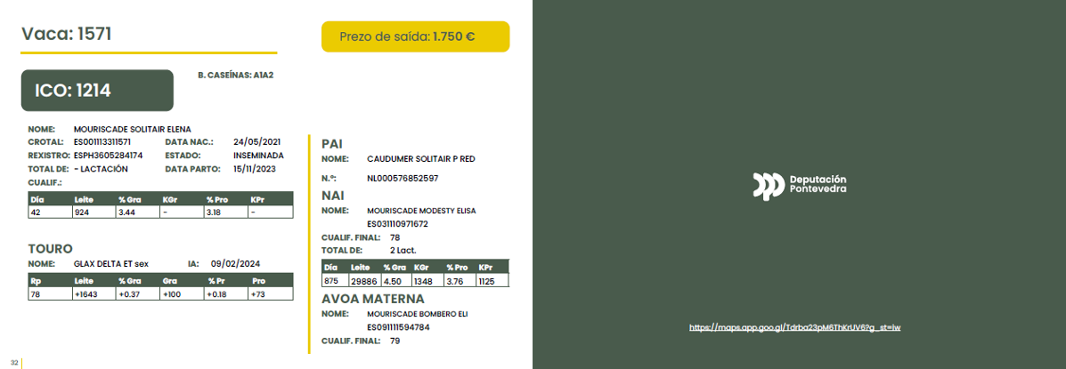 POXA MOURISCADE 24 10
