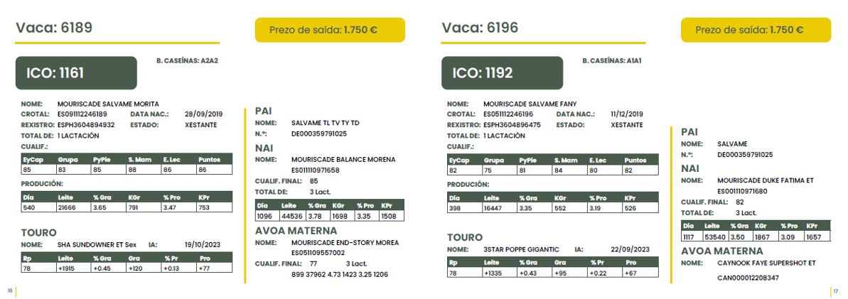 POXA MOURISCADE 24 2