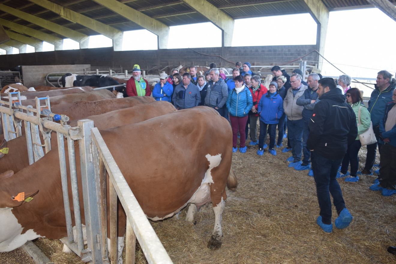 VISITA AUSTRIA AGRICOLA JUNQUERA FLECKVIEH 6 estanadr