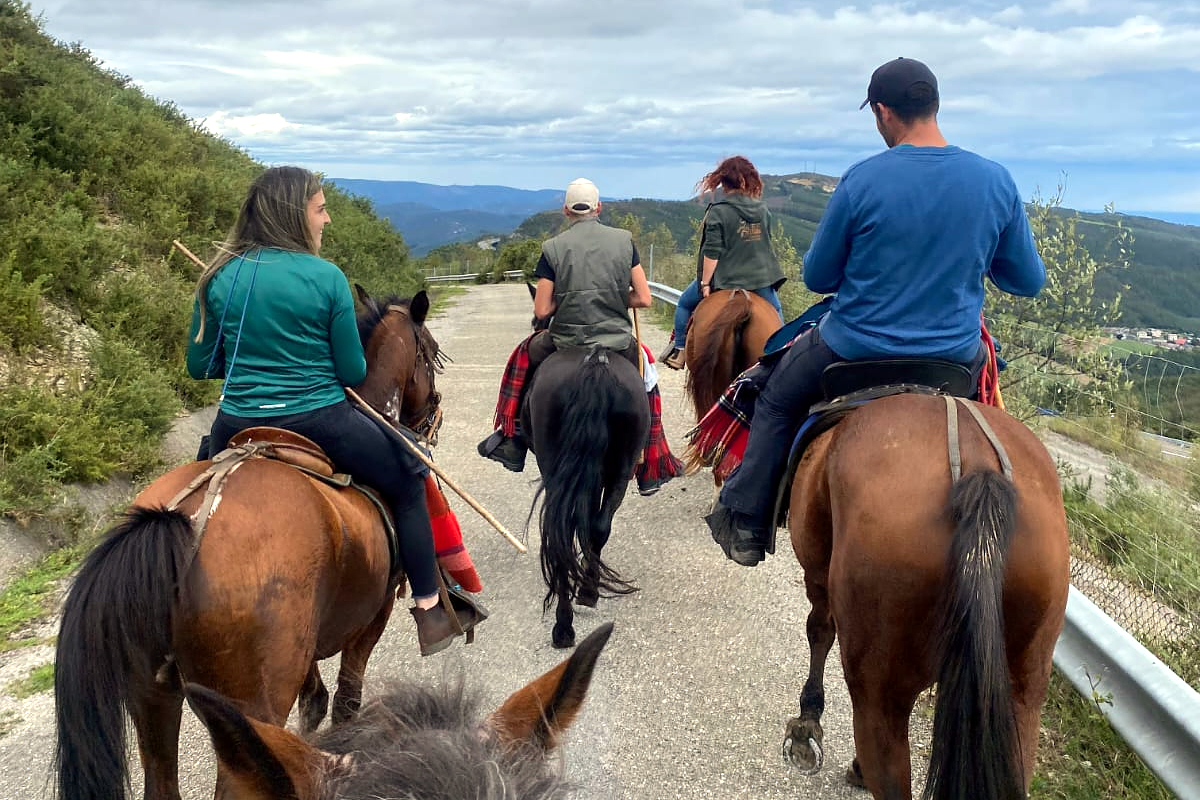 Alba, a cabalo durante os traballos para baixar a grea para as San Lucas deste ano
