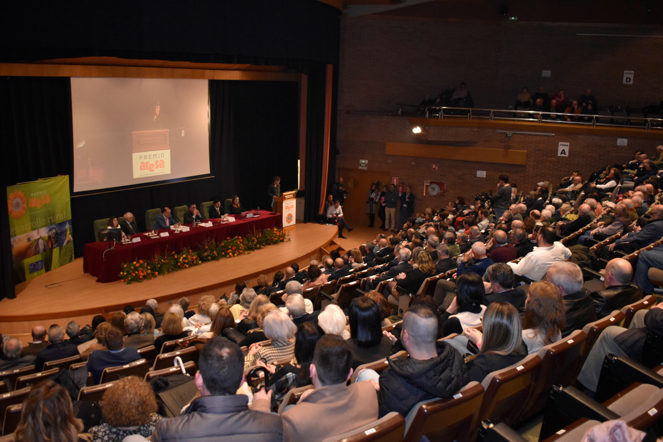auditorio_aresa (2)