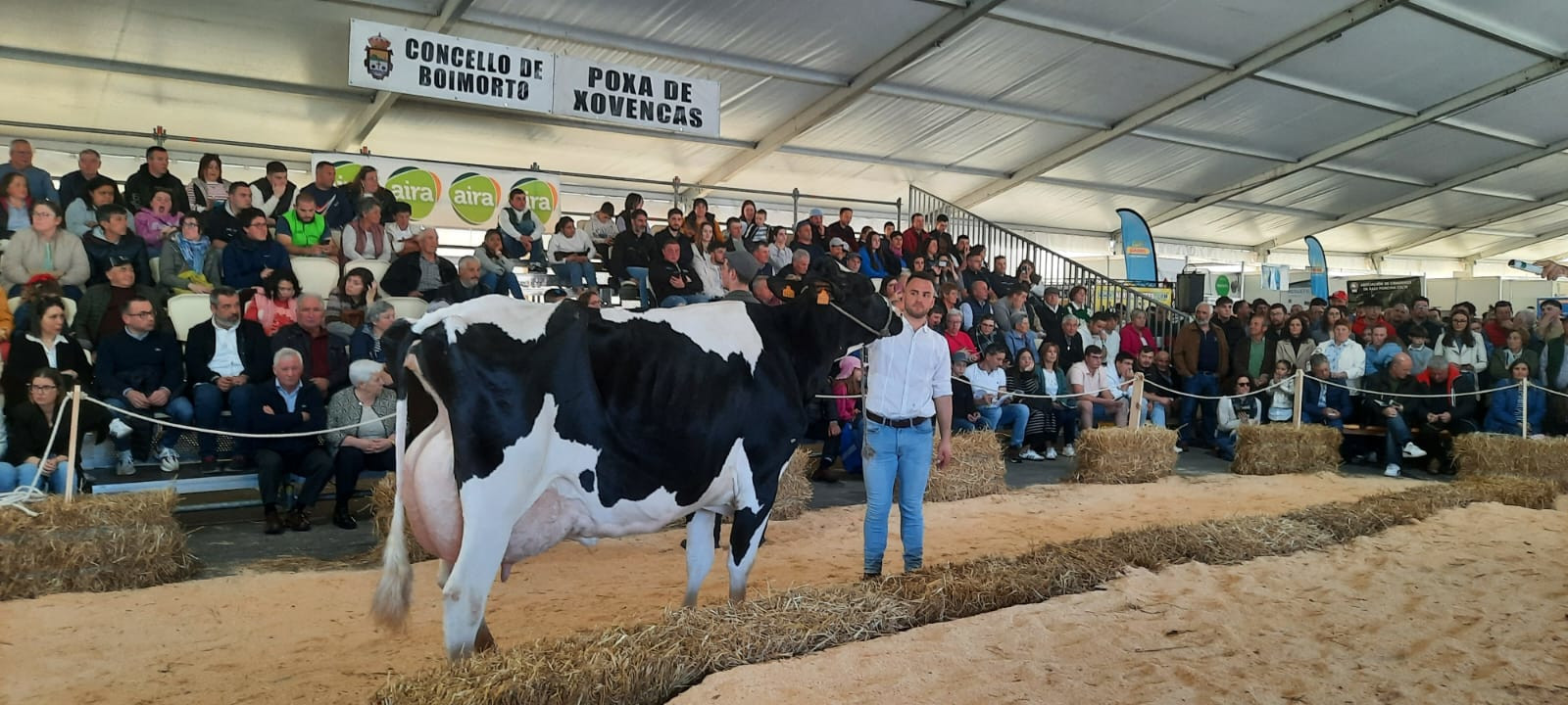poxa boimorto 24 orixinal