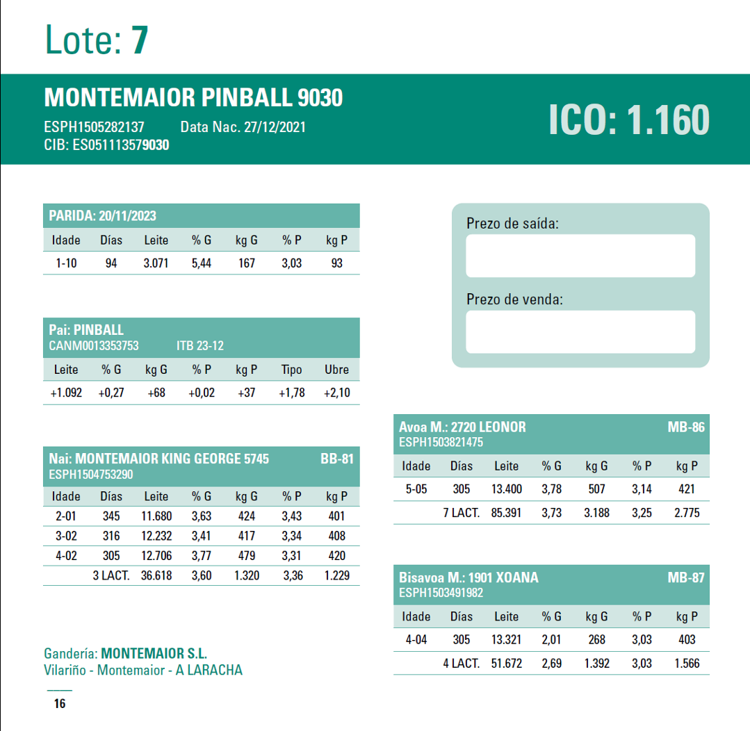 poxa ordes 24 7