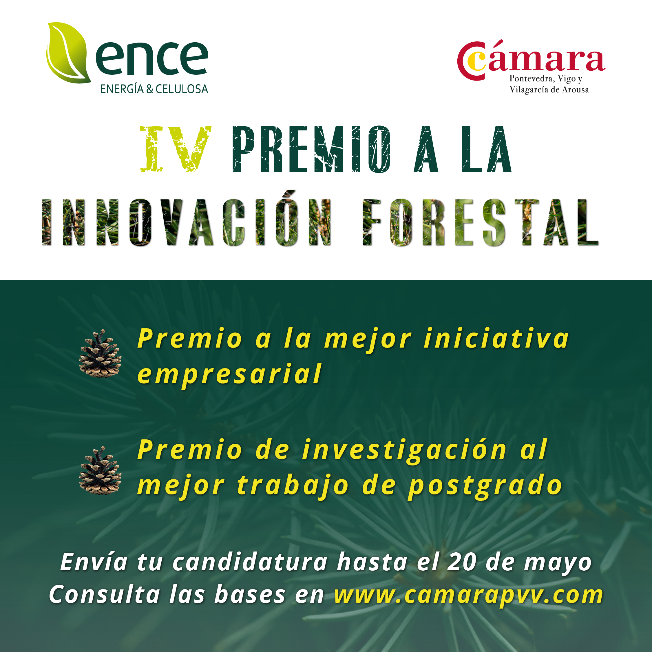 Difusión_Premio_Cámara_de_Comercio_ENCE