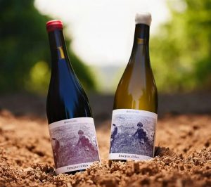 Inseparables godello e mencía de EDV, premiados en distintos certames nos últimos anos