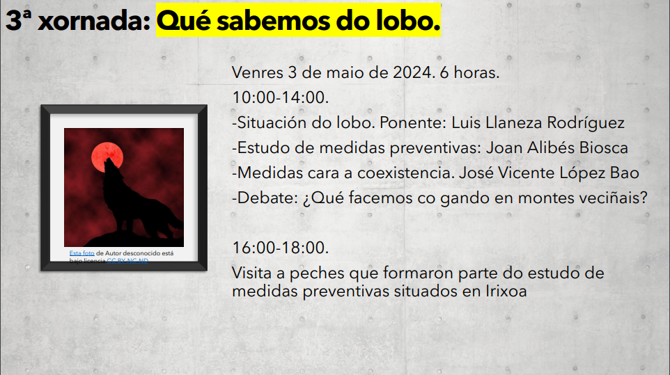 LOBO 3