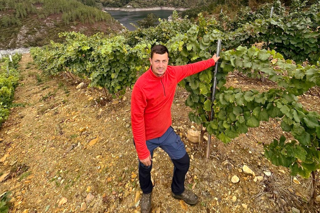 Jose, xunto ás vides das que ten previsto comezar a embotellar viño este ano