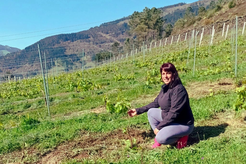 Laura comezou a plantar no 2017 e hoxe ten hectárea e media de branco lexítimo e caíño tinto