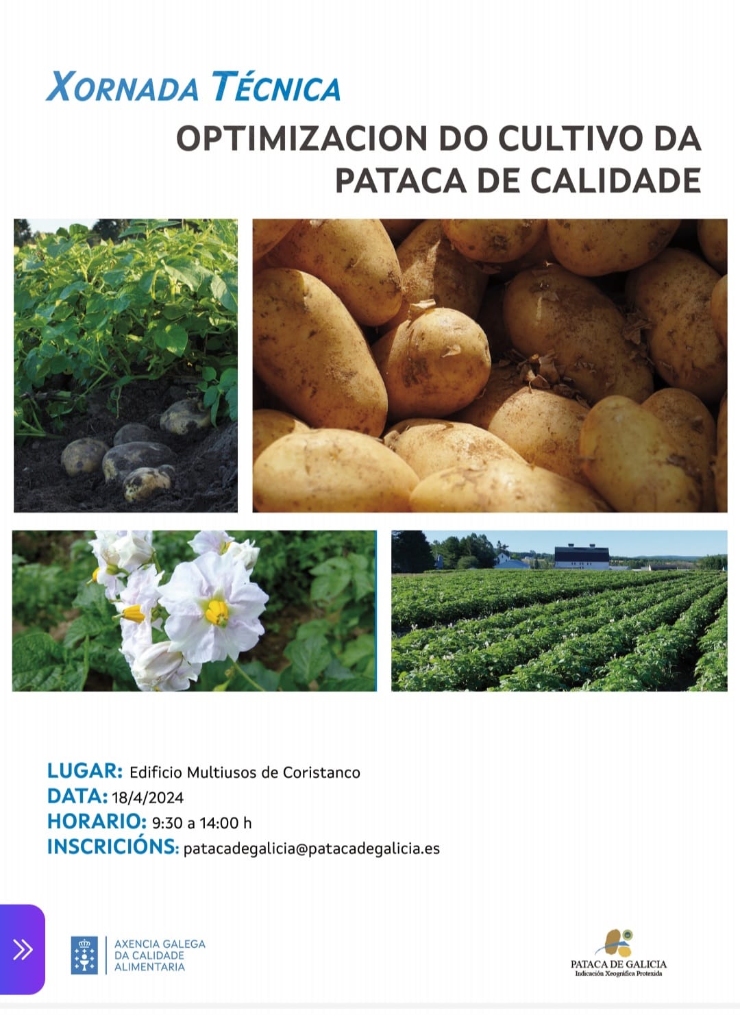 XORNADA CULTIVO PATACA CORISTANCO 24 1