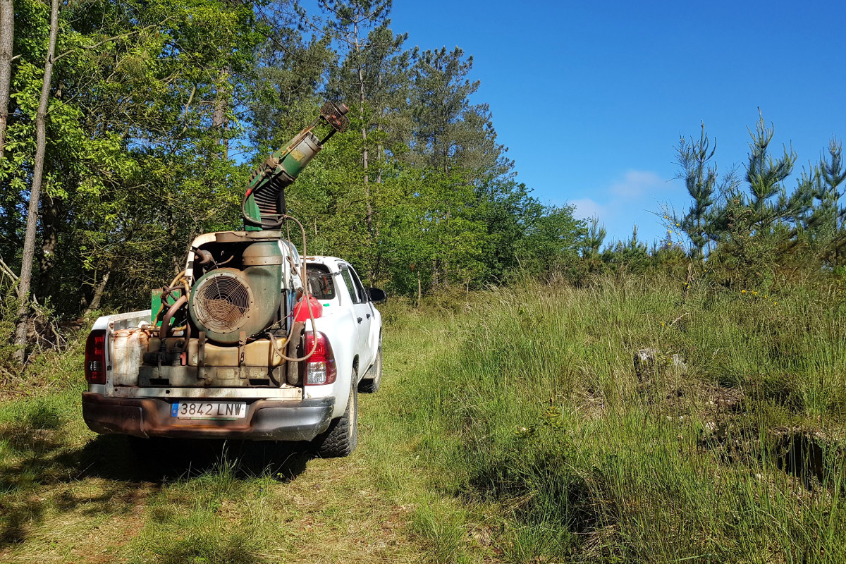 Tratamento contra a banda marrón en Trasmonte (Friol), na primavera de 2021