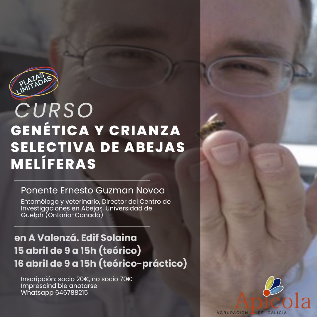 xornada APICULTURA