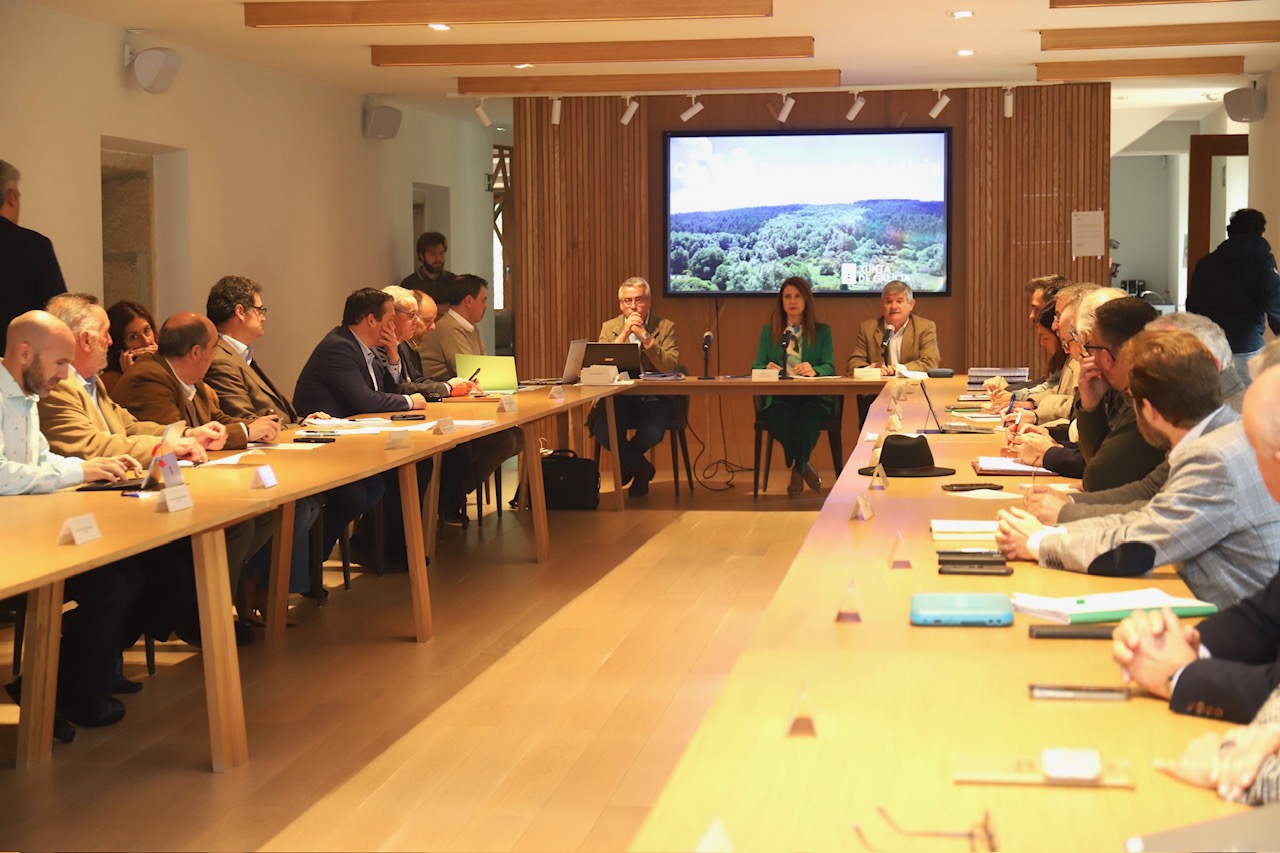 A conselleira do Medio Rural, María José Gómez, presidindo este xoves a reunión do Consello Forestal de Galicia